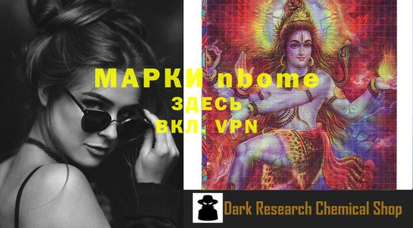 шишки Арсеньев