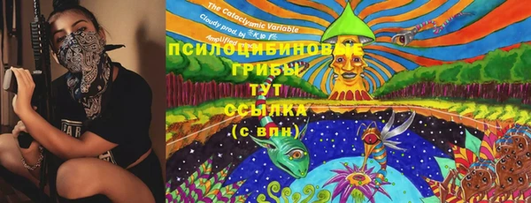 mdpv Аркадак