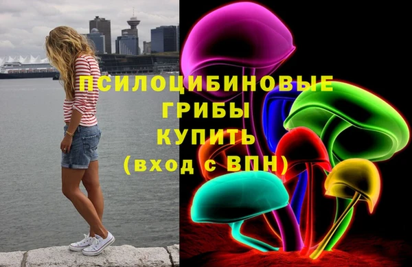 шишки Арсеньев