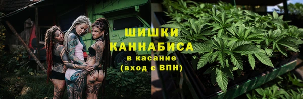 шишки Арсеньев