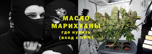 шишки Арсеньев